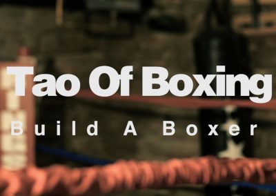 Tao Of Boxing
