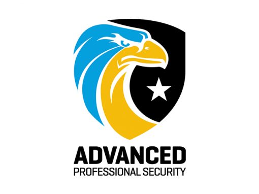 Advanced Professional Security